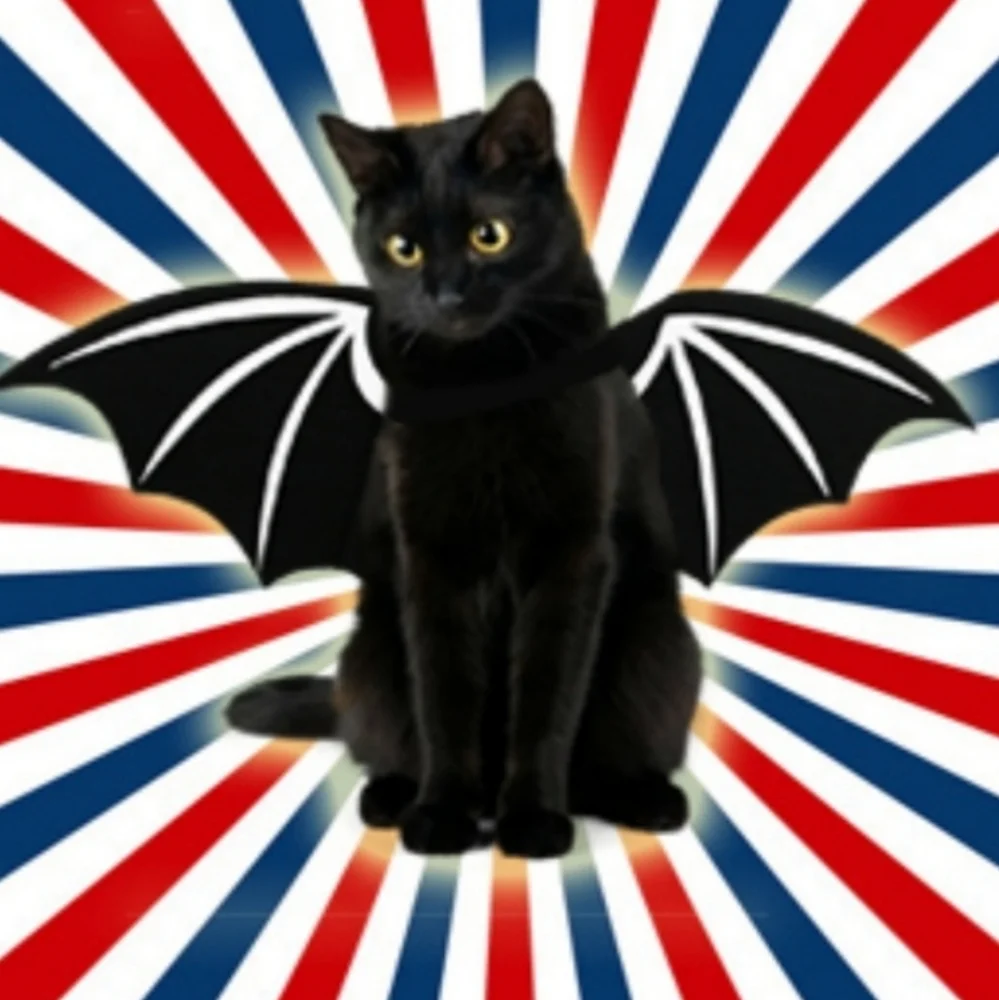 Goth lightweight bat wings for cat or small dog nwt - Picture 3 of 6